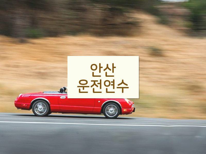 안산운전연수 후기