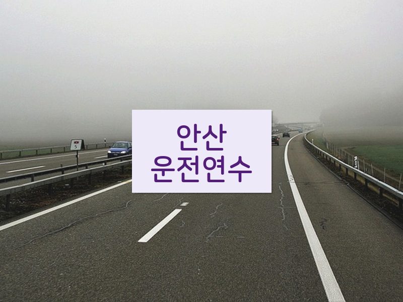 안산운전연수 후기