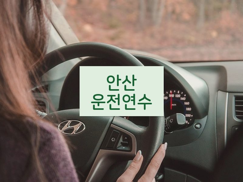 안산운전연수 후기