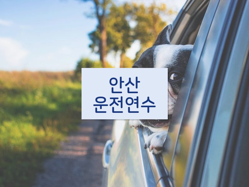 안산운전연수 후기