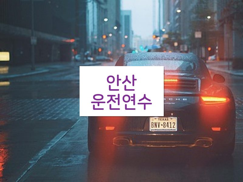 안산운전연수 후기