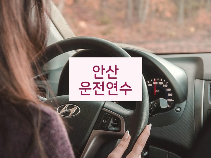 안산운전연수 후기