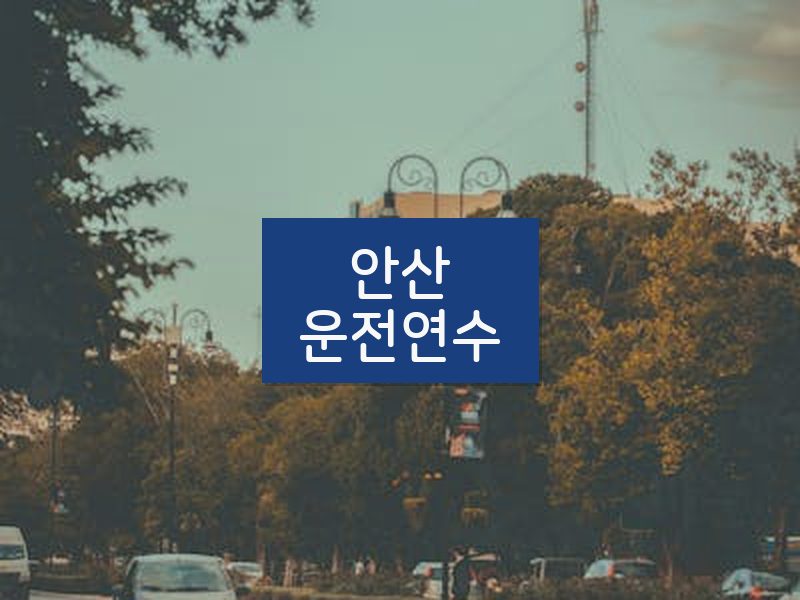 안산운전연수 후기