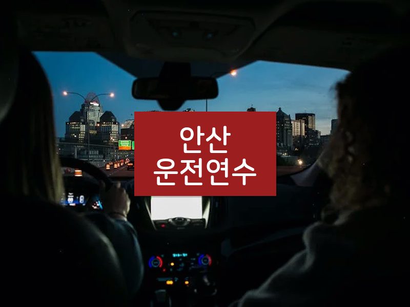 안산운전연수 후기
