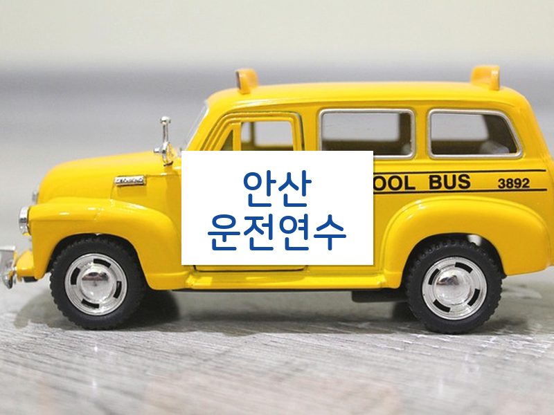 안산운전연수 후기