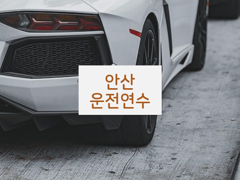 안산운전연수 후기