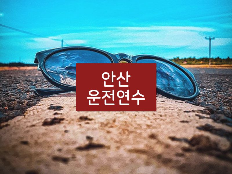 안산운전연수 후기