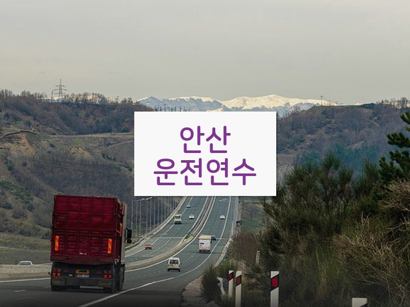 안산운전연수 후기