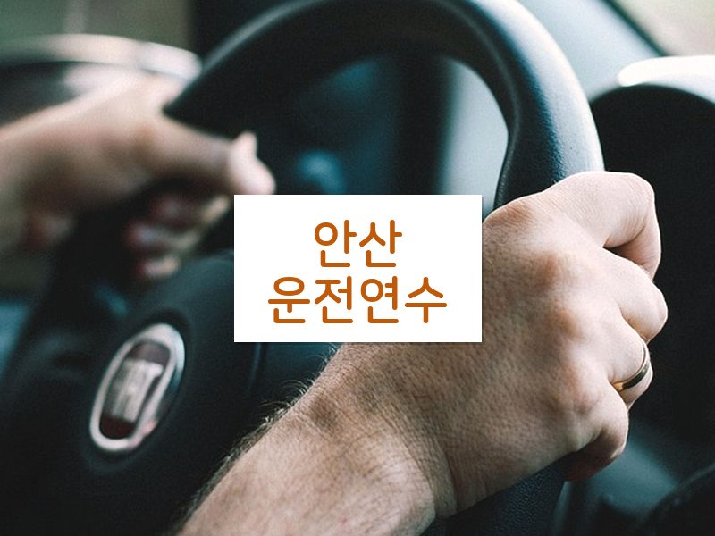 안산운전연수 후기
