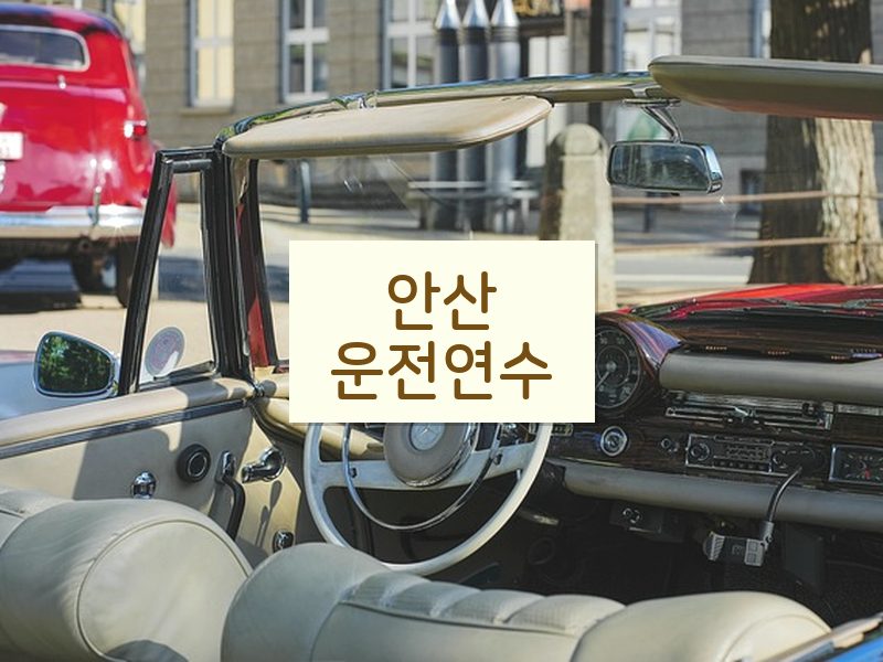 안산운전연수 후기