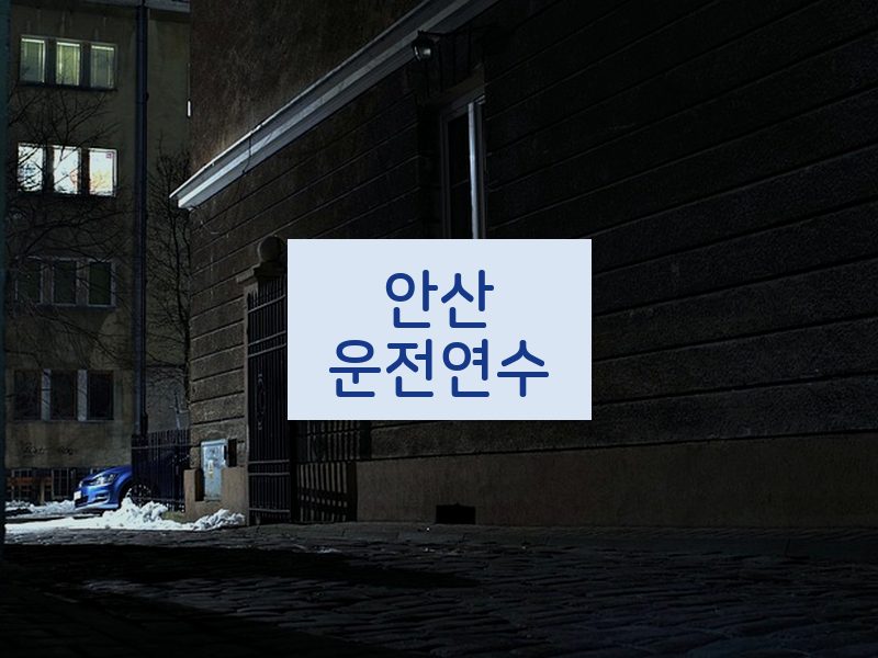 안산운전연수 후기