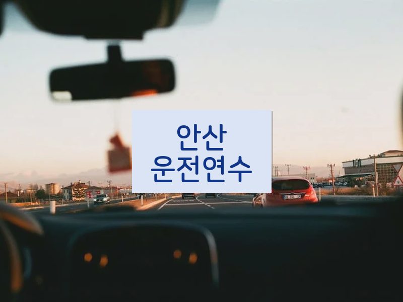 안산운전연수 후기