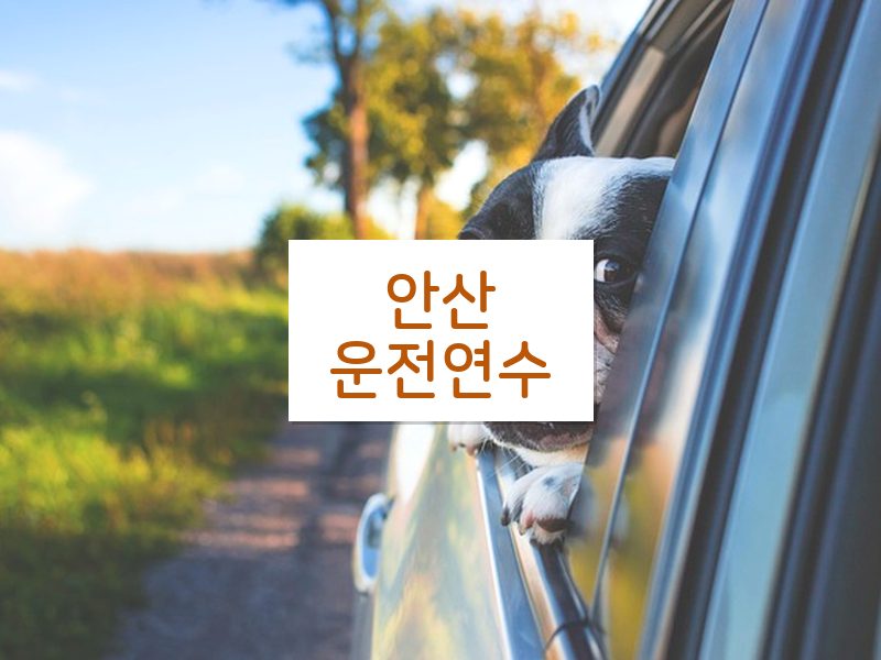 안산운전연수 후기