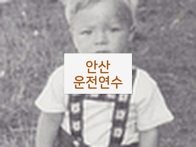 안산운전연수 후기