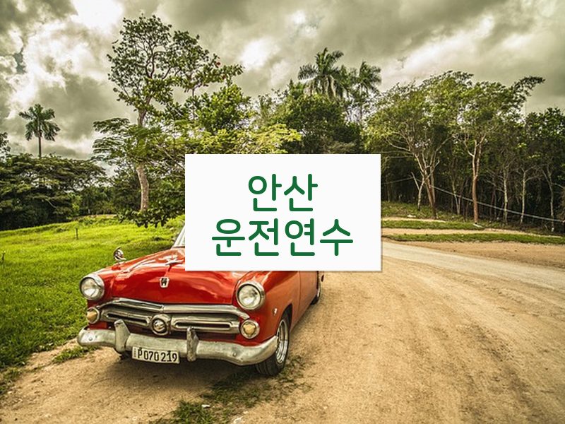 안산운전연수 후기