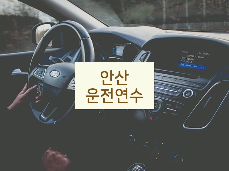 안산운전연수 후기