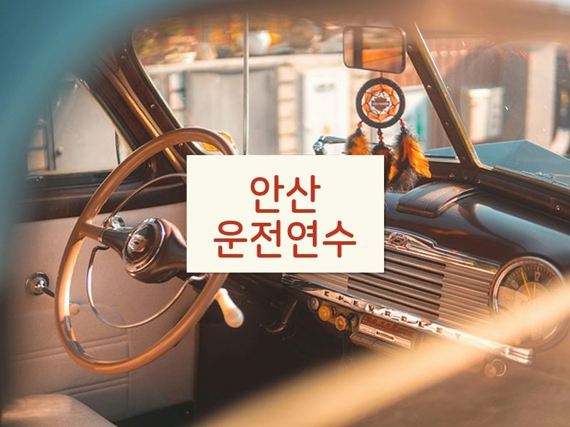 안산운전연수 후기