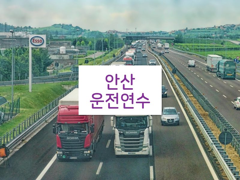 안산운전연수 후기