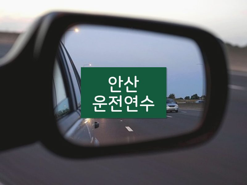 안산운전연수 후기