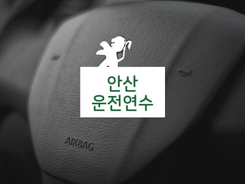안산운전연수 후기