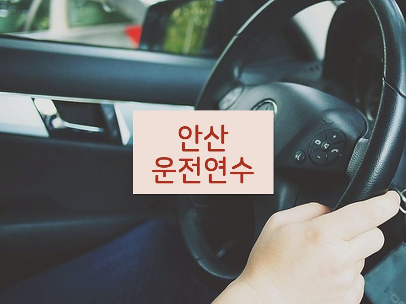 안산운전연수 후기