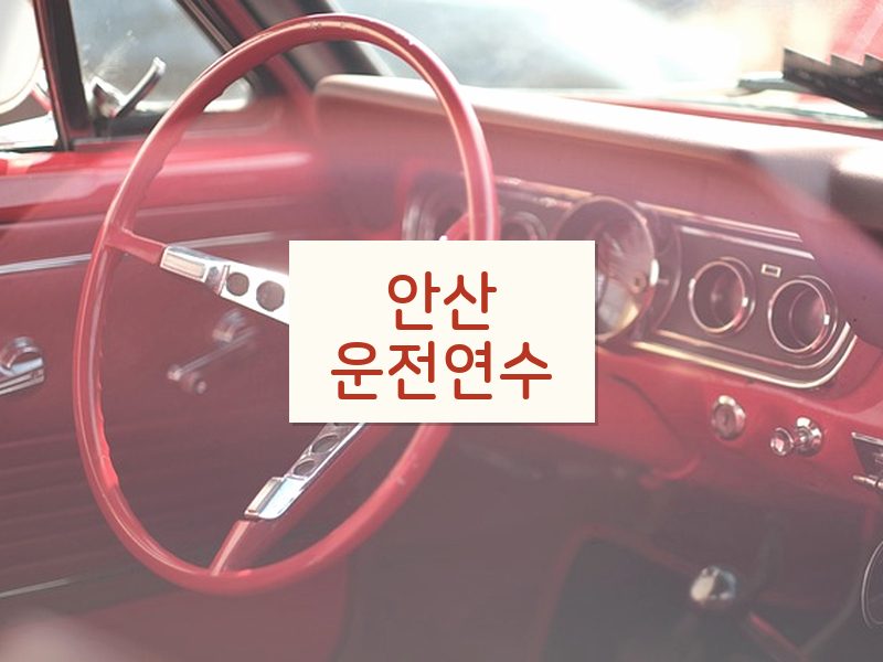 안산운전연수 후기