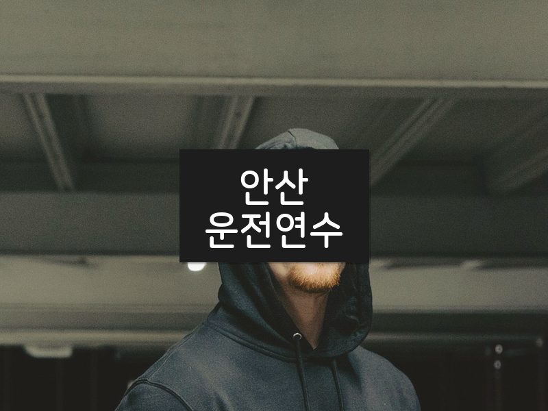 안산운전연수 후기