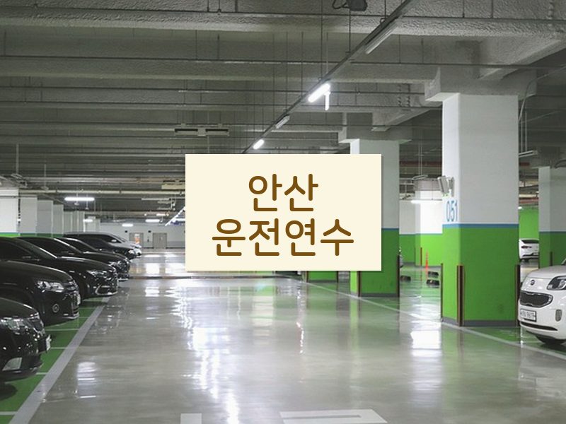 안산운전연수 후기