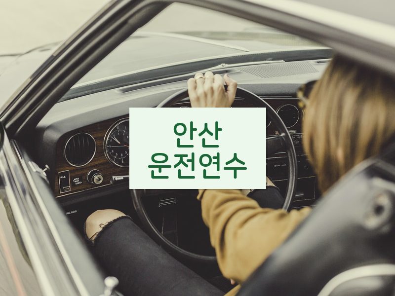 안산운전연수 후기