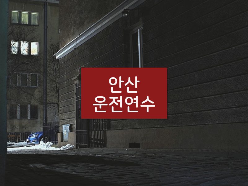안산운전연수 후기