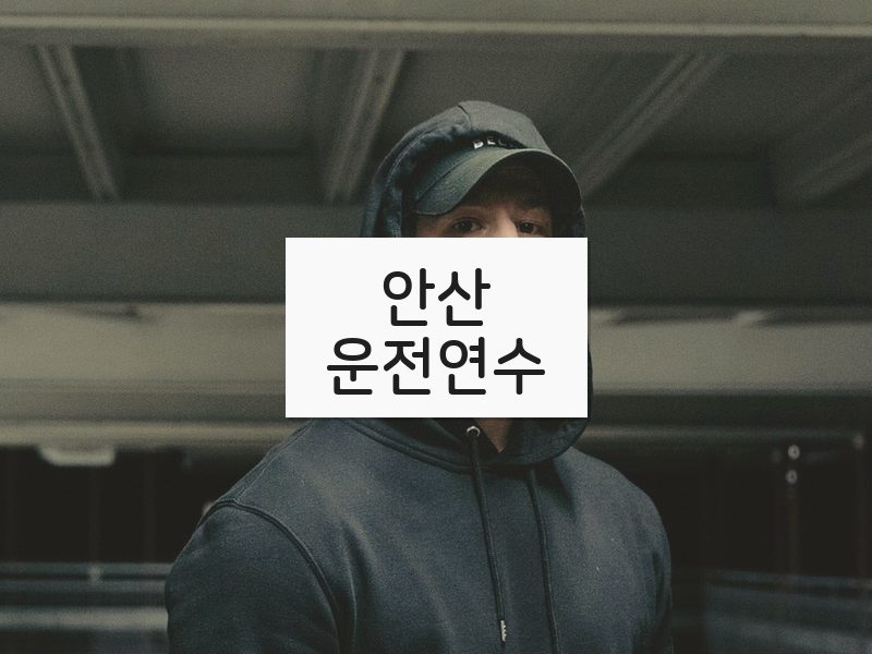 안산운전연수 후기