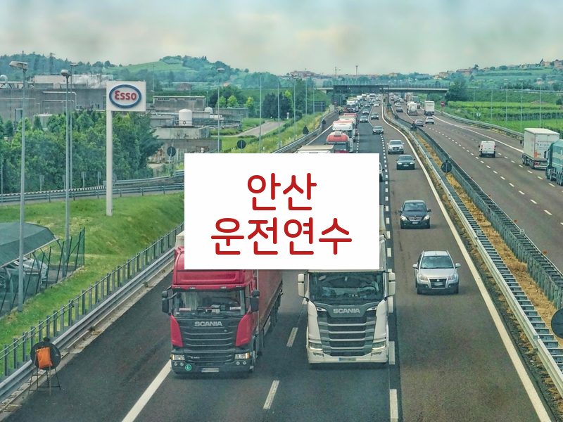 안산운전연수 후기