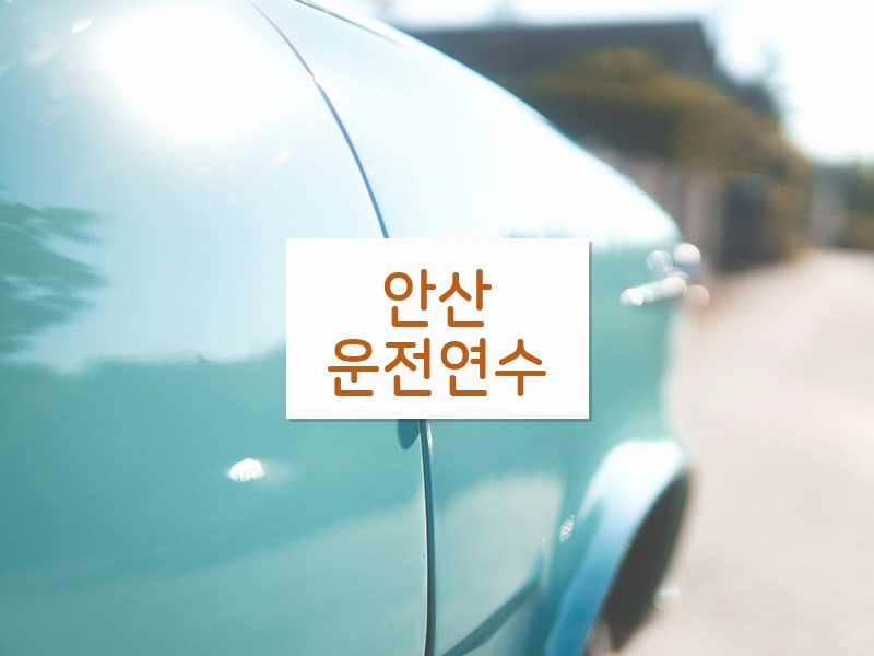 안산운전연수 후기
