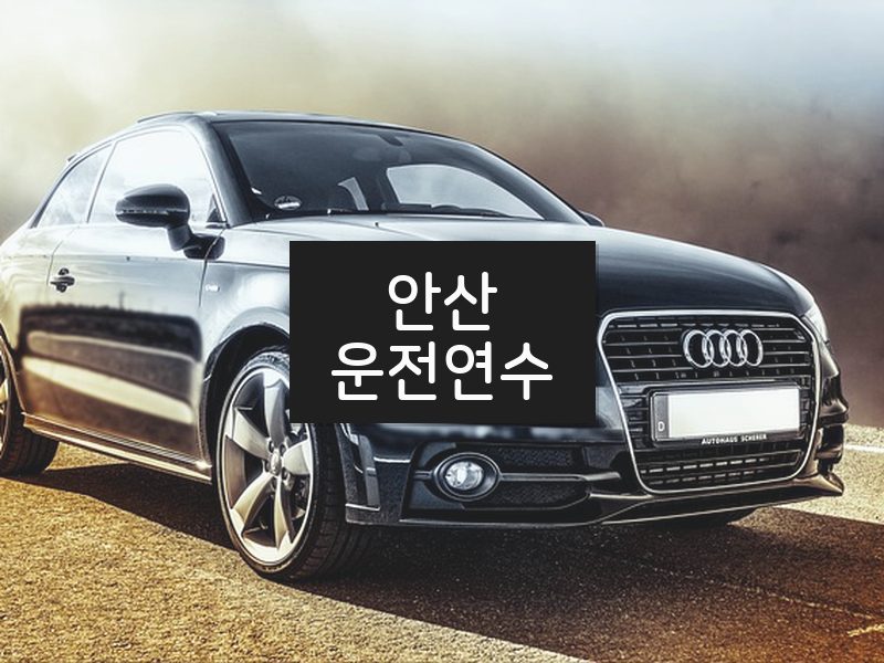 안산운전연수 후기