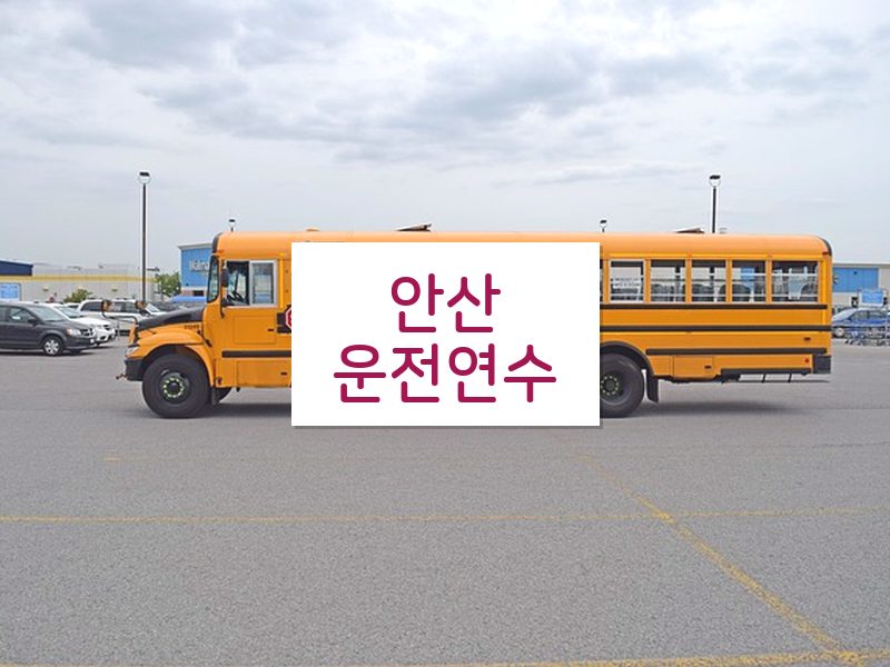 안산운전연수 후기