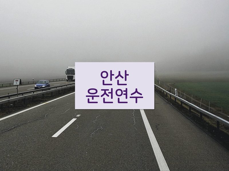 안산운전연수 후기