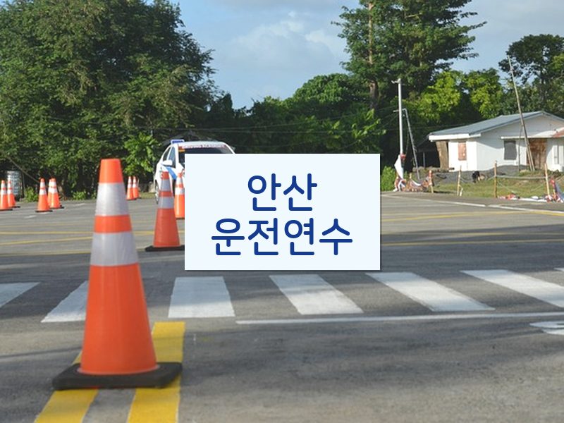 안산운전연수 후기