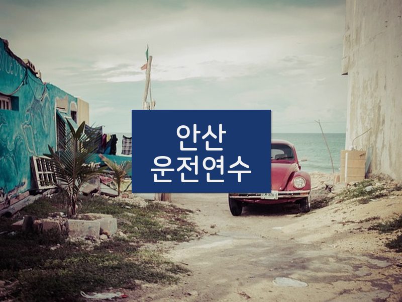 안산운전연수 후기