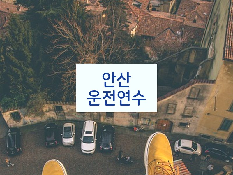 안산운전연수 후기