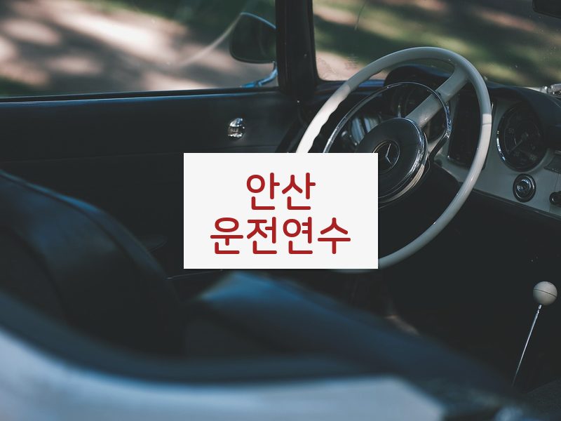 안산운전연수 후기