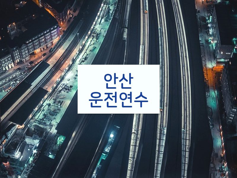 안산운전연수 후기