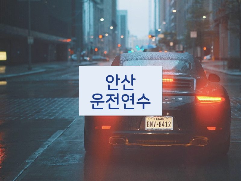 안산운전연수 후기