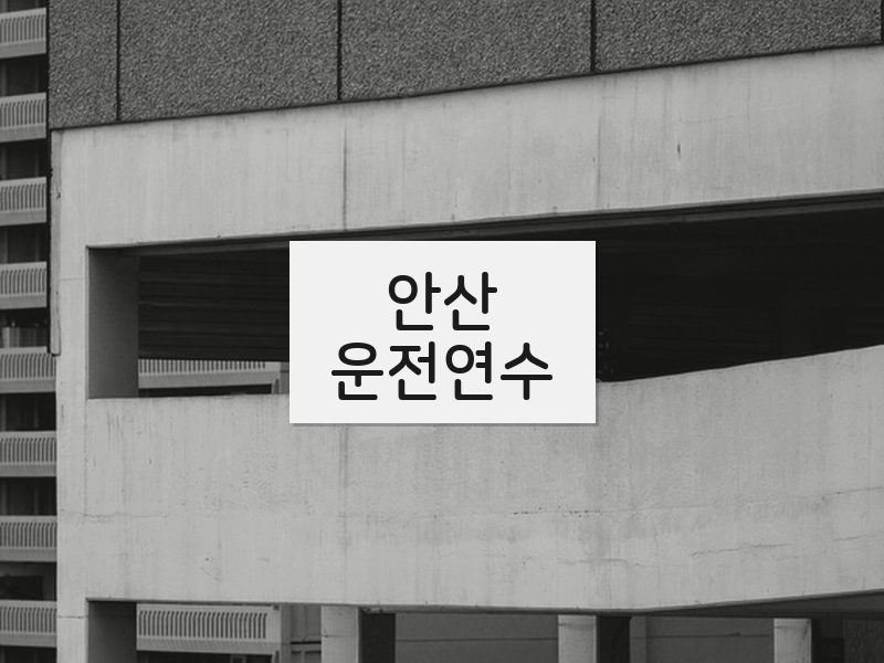 안산운전연수 후기