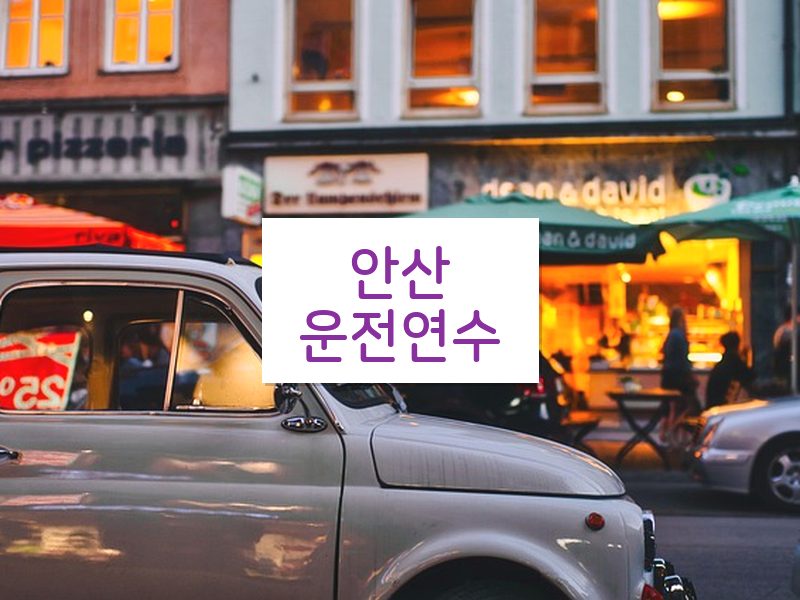 안산운전연수 후기