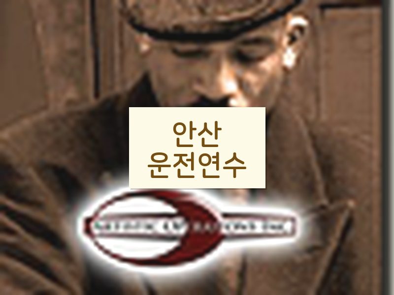 안산운전연수 후기