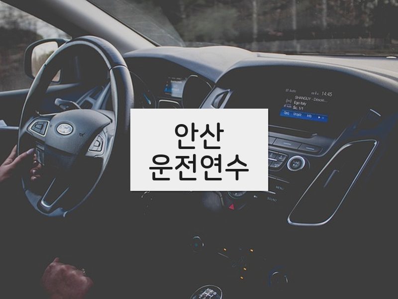 안산운전연수 후기