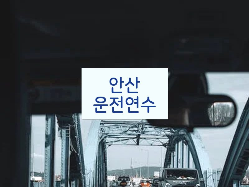 안산운전연수 후기