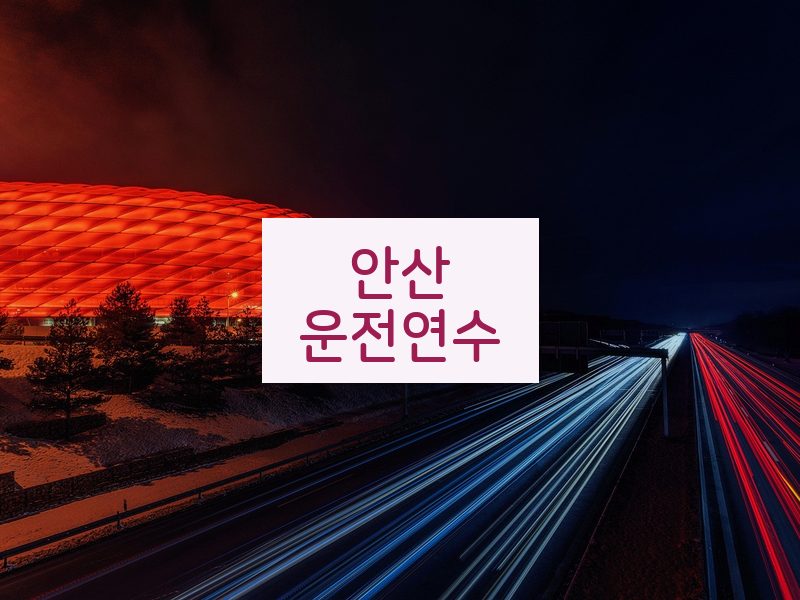 안산운전연수 후기