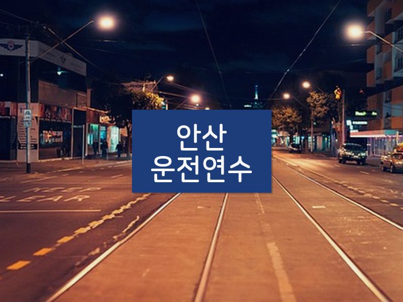 안산운전연수 후기