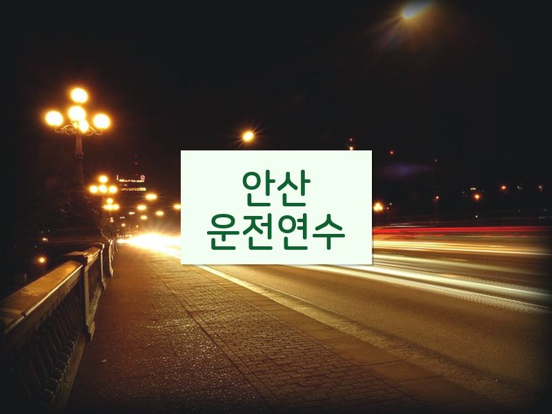안산운전연수 후기